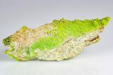 Apple-Green Pyromorphite Crystal Cluster - China #179830-3